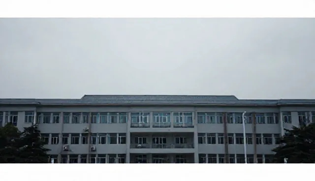 沈阳网页设计：自建官网与外包定制的取舍分析